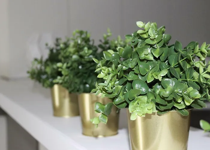 Casa Di Mamma Daire *