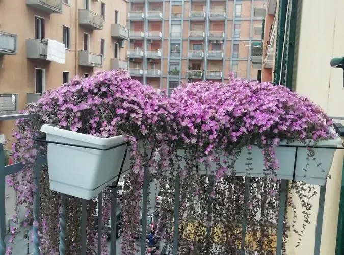 Apartman Casa Di Mamma *